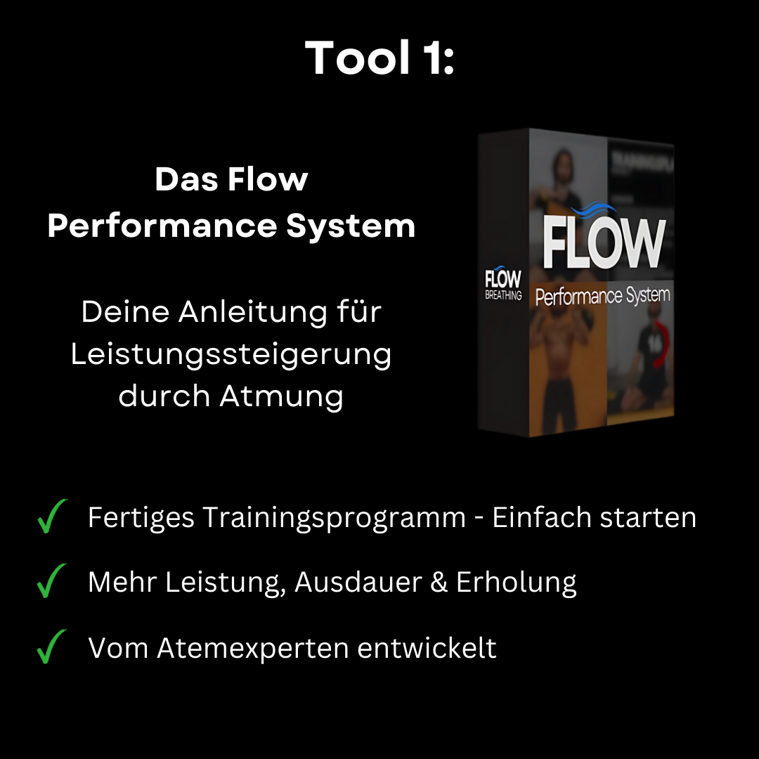 Flow Performance System