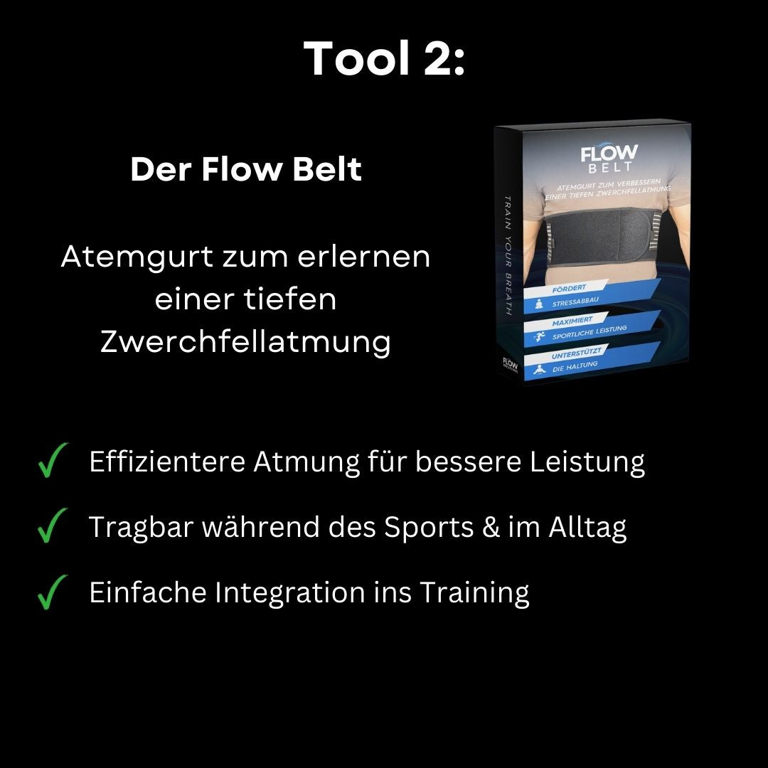 Flow Performance System