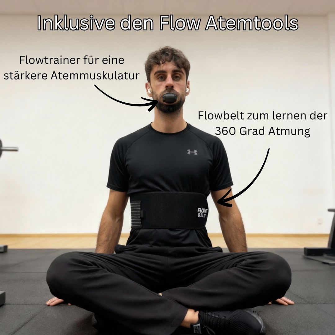 Flow Performance System