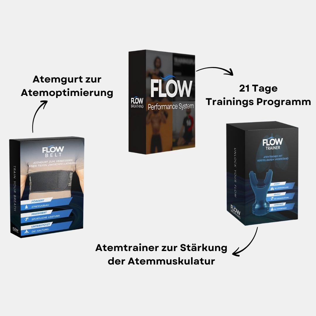 Flow Performance System