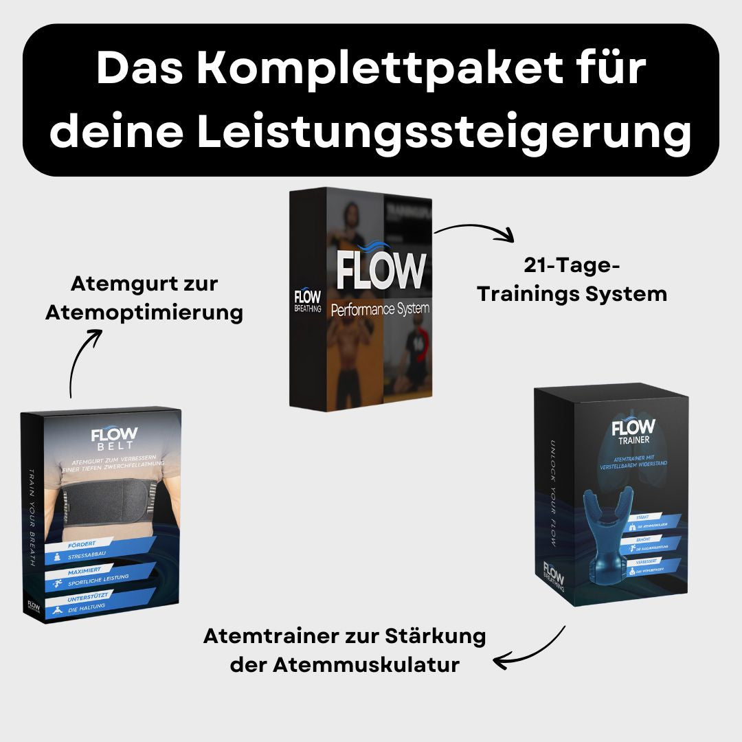 Flow Performance System