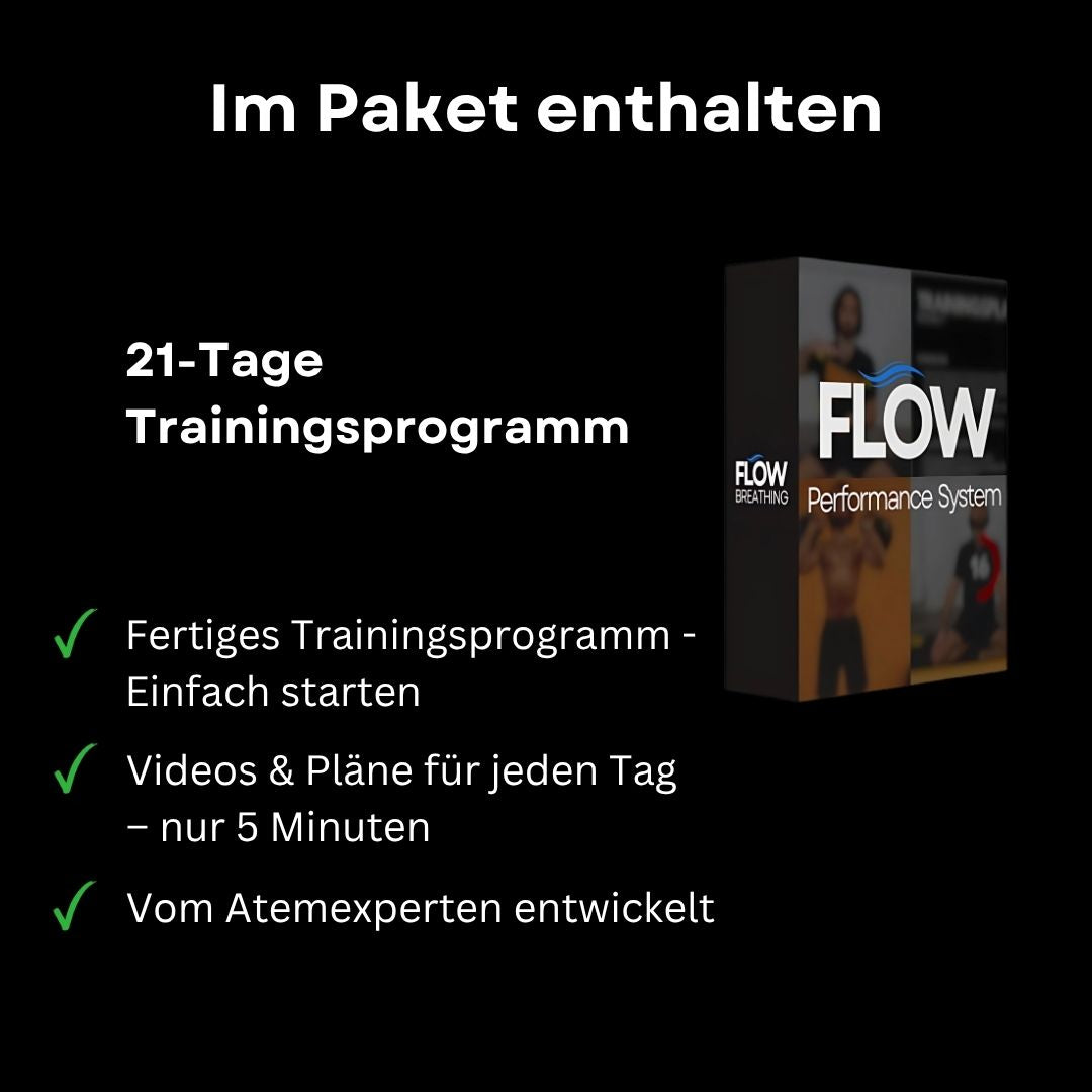 Flow Performance System